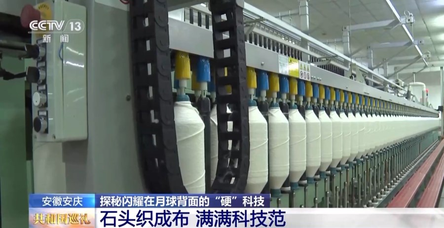 亚洲精品婷婷无码成人A片在线