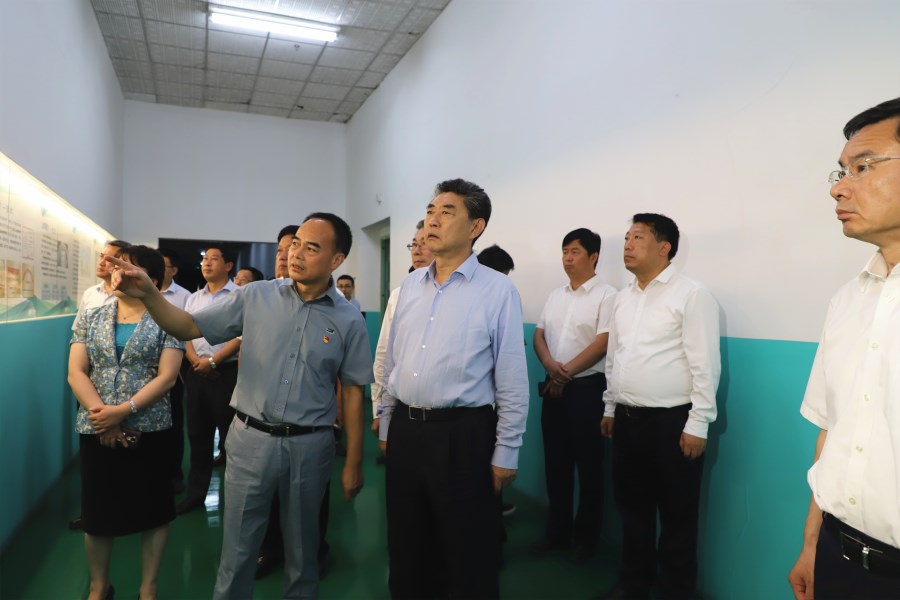 亚洲精品婷婷无码成人A片在线